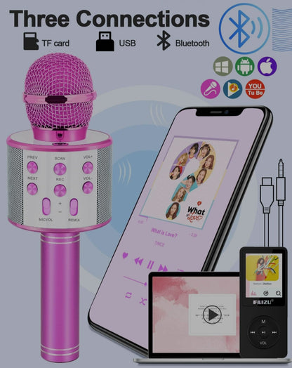 Kids Handheld Wireless Microphone Speaker