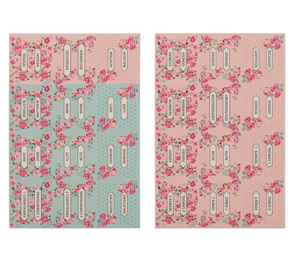 Pink and Blue Old and New Testament Bible Indexing Tabs