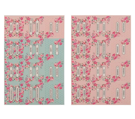 Pink and Blue Old and New Testament Bible Indexing Tabs